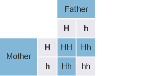 Mother and Father both carry the allele for Huntington's Disorder so both have the disorder. Therefore there's a three in four chance their offspring will have Huntington's Disorder.
