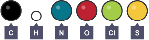 A diagram of six atoms, labelled: C, H, N, O, Cl, S.