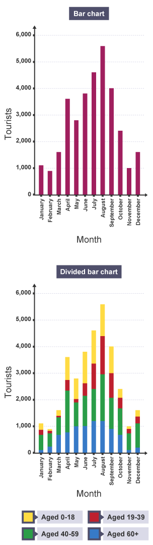 The first bar chart shows the number of tourists per month. The second bar chart shows the age breakdown of the tourists per month.