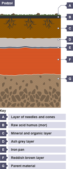 Soil Formation Layers