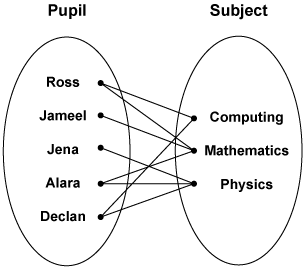 Two circles: one containing pupils' names and the other containing subjects. There are lines that connect individual pupils to individual subjects. Some pupils are connected to multiple subjects.