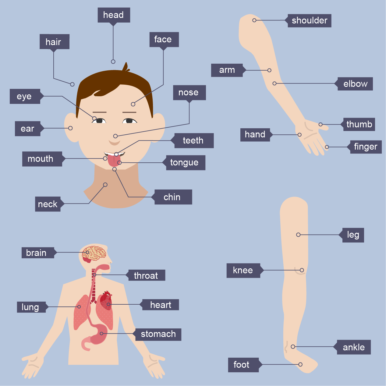  Getting started - The body, feelings and illnesses - GCSE Irish ...