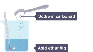 Gollwng powdr sodiwm carbonad i mewn i ficer o asid ethanöig sy'n cynnwys thermomedr sy'n dangos tymheredd ystafell.