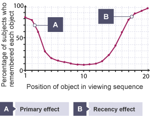 Graph showing the memory serial position effect