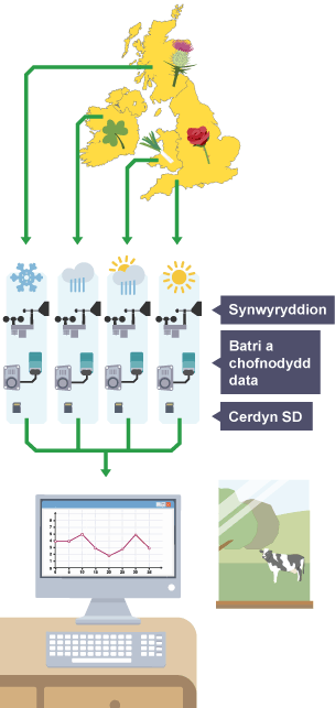 Esboniad o logio data o bell o amgylch Ynysoedd Prydain. Mae’r data’n cael eu hanfon i gronfa ddata.