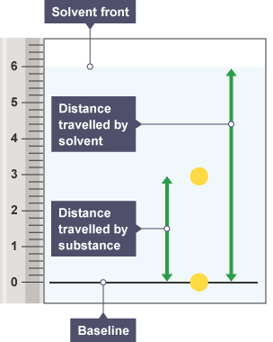 Chromatography paper next to a measurement scale, showing the distance travelled by the solvent, and a coloured dot showing the distance travelled by the substance.