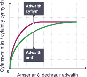 Graff llinell yn dangos sut mae adwaith cyflym yn cynyddu'n serth o sero cyn lefelu'n raddol. I gymharu, mae adwaith araf yn cynyddu'n llai serth ond yn cyrraedd yr un lefel yn y diwedd.