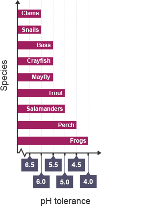 A bar chart that shows the varying tolerance levels of pH in animals