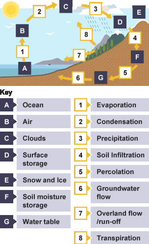 Ways in which water moves through a drainage basin.