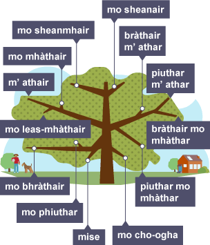  A family tree showing the Gaelic words for various family members