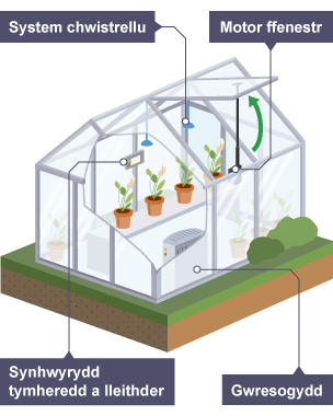 Tŷ gwydr sy’n defnyddio synwyryddion i reoli system chwistrellu, gwresogyddion, gosodiadau lleithder a motor ffenestr.