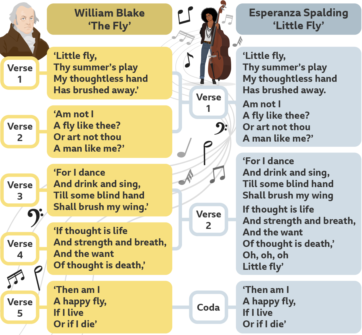 The image maps the verses of the poem The Fly poem on the left to the verses of Little Fly the song on the right. Above the poem's text is a graphic of a portrait of Blake and above the text of the song lyrics is a graphic of Spalding stood casually holding a bass in her left hand. 