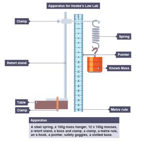 Hooke's law practical