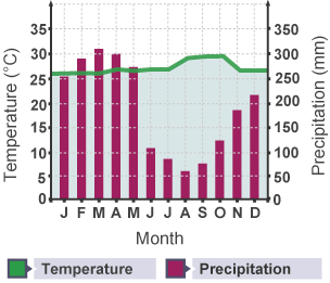 Climate graph showing the monthly temperature and precipitation in a rainforest over the period of a year