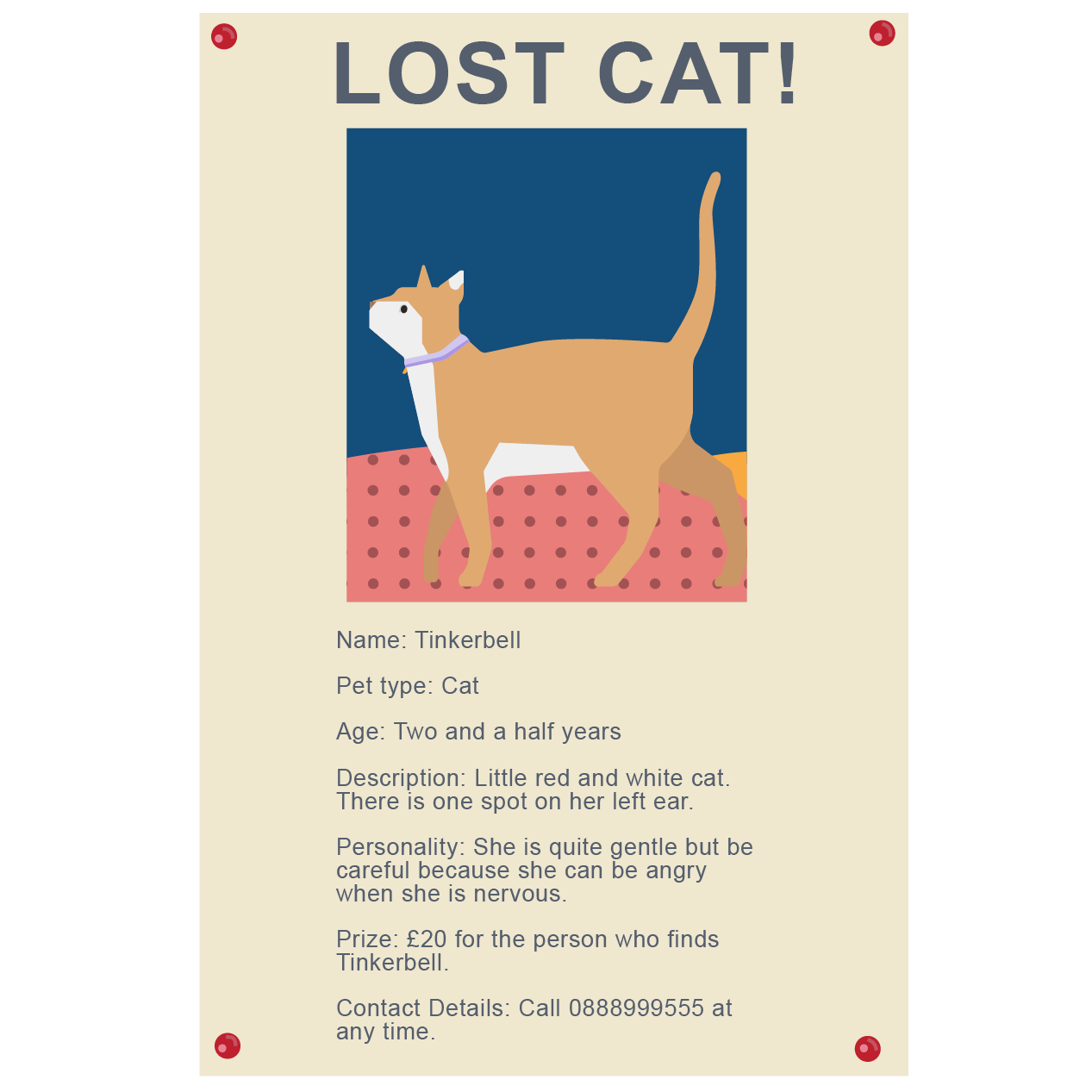 Poster for lost cat.