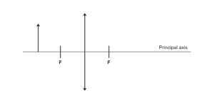 Full-scale diagram showing a converging lens and an object with each principal focus marked with an F