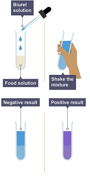 Reagents and food testing - Nutrition and food tests (CCEA) - GCSE