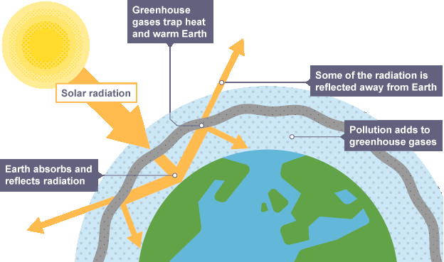 Bbc bitesize geography deals ks3