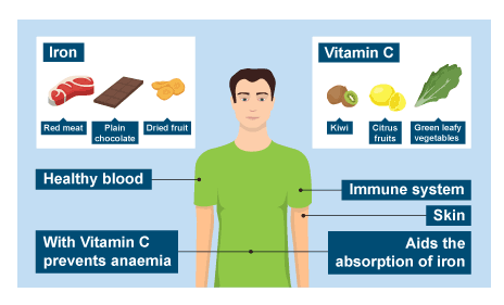 Eating a balanced diet - Diet and nutrition - AQA - GCSE Physical Education  Revision - AQA - BBC Bitesize