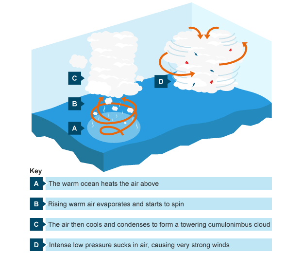 Diagram of tropical storm forming at sea