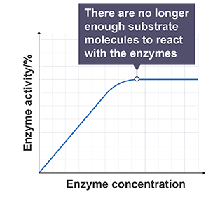 Enzyme factor concentration