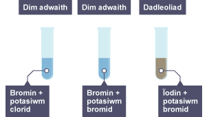 Tiwb cyntaf – Dim adwaith: mae'n cynnwys bromin, potasiwm clorid. Ail diwb – Dim adwaith: mae'n cynnwys bromin, potasiwm bromid. Trydydd tiwb – Dadleoliad: mae'n cynnwys ïodin a photasiwm bromid.