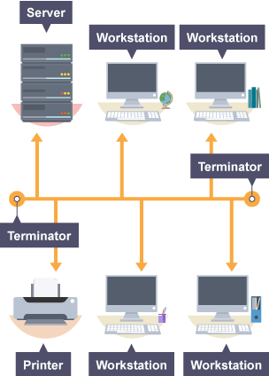 Bus network topologies - Networks - Eduqas - GCSE Computer Science ...