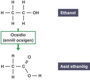 Fformiwla graffig asid ethanöig.