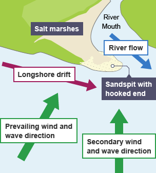 Formation of a Sand Spit