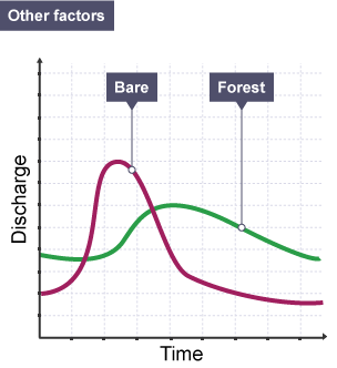 Hydrograph comparisons of bare and forested landscapes.