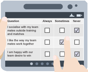 Example of a questionnaire being used to evaluate the social factor.