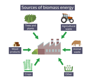 Sources of biomass energy