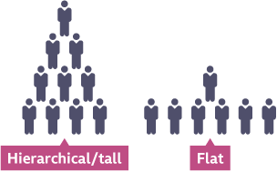 Tall and Flat Organizational Structures