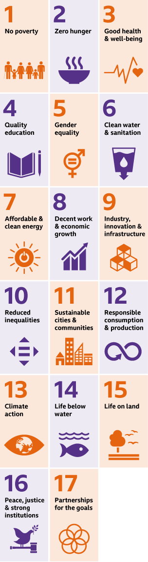 Graphic of 17 sustainable development goals set by the United Nations