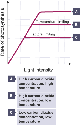 Graph showing how carbon dioxide concentration and temperature interact with the effect of light intensity on photosynthesis