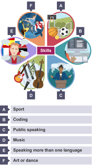 Petal diagram of skills; Art or dance, Sport, Coding, Public Speaking, Music, Speaking more than one language.