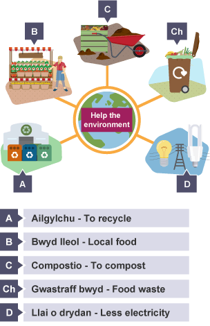 Diagram showing words and images of ways in which you could help the environment: To recycle, Local food, To compost, Food waste, Less electricity.