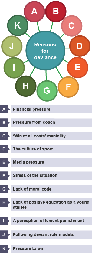 Reasons for deviant behaviours in sport include: pressure to win, financial pressure, a 'win at all costs' mentality, media pressure, stress of the situation and a perception of lenient punishments.