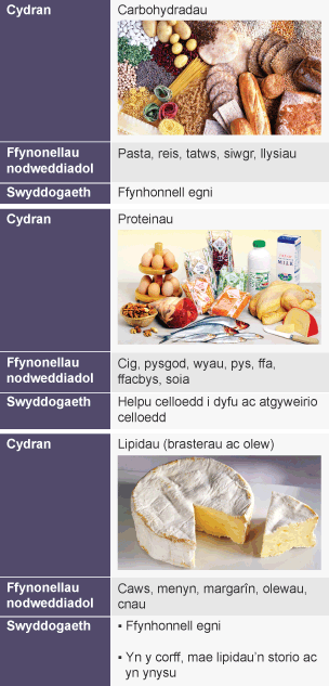 Tabl â thair rhes a dwy golofn. Labeli'r rhesi: Carbohydradau, Proteinau a Lipidau. Label colofn 1: Ffynonellau nodweddiadol; mae hon yn rhestru amrywiaeth o fwydydd. Label colofn 2: Swyddogaeth.