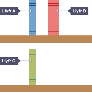 Mae Llyfr A a Llyfr B ar silff lyfrau. Mae Llyfr B ddwywaith trwch Llyfr A. Mae Llyfr C ar ail silff lyfrau. Ar yr ail silff mae Llyfr C union o dan Llyfr A, ac mae ganddo drwch tebyg.