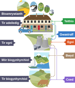 Pum cydran ein hôl troed ecolegol yw egni, gwastraff, teithio, bwyd a choed.