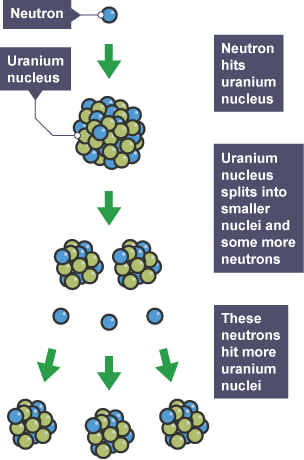 Process of nuclear fission, from a neutron being fired into a uranium nucleus, which splits into smaller nuclei and neutrons, which then hit other uranium nuclei.