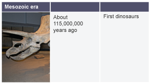 About 115,000,000 years ago: first dinosaurs.