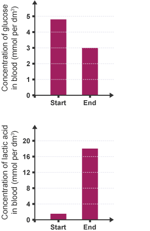 The concentration of glucose is higher at the start than at the end and the concentration of lactic acid is lower at the start than at the end