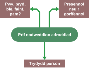 Siart corryn i gynrychioli prif nodweddion adroddiad.