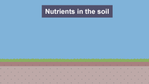 1 of 4: Soil with nutrients in it.