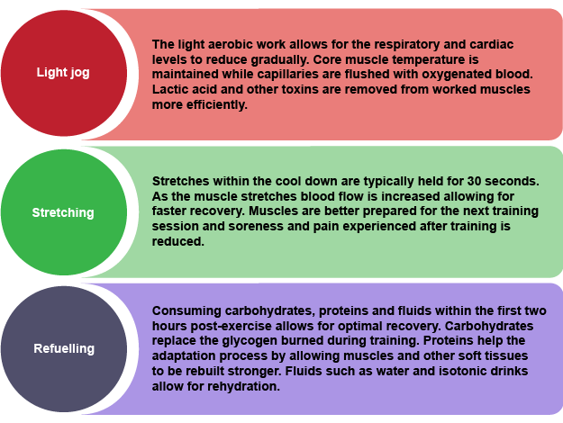 The effects of the warm up and cool down process - Methods and effects of  training - OCR - GCSE Physical Education Revision - OCR - BBC Bitesize