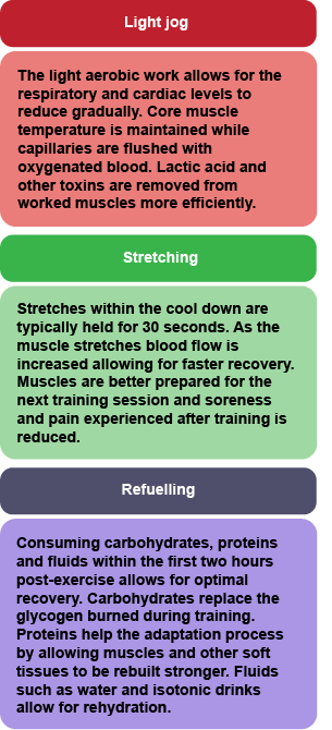 Cool Down Exercises  3 Key Parts of an Effective Cool Down