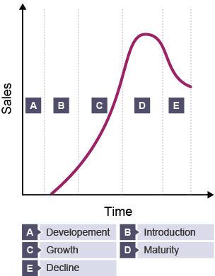 Product life cycle - development, introduction, growth, maturity and decline