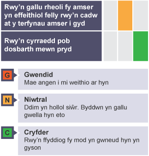 Archwiliad sgiliau yn defnyddio system sgorio goleuadau traffig.